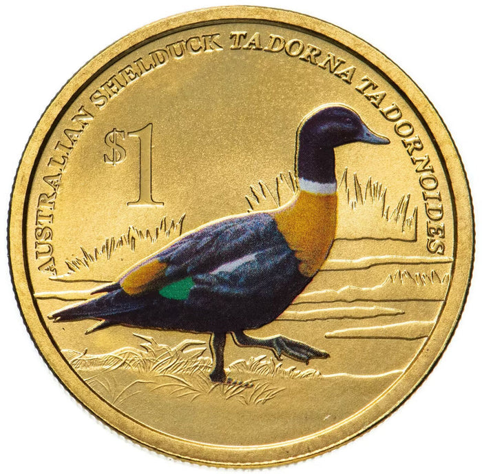 2013 $1 Australian Shelduck PNC