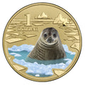 2013 $1 Weddell Seal Polar Animals Series Carded Coin - Mintage: 10,002