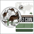 2014 $1 30th Anniversary of the $1 Coloured Coin