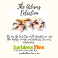 Adams Selection