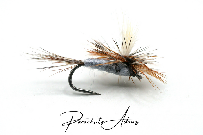 Adams Selection