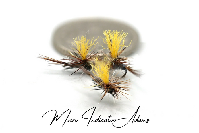 Adams Selection