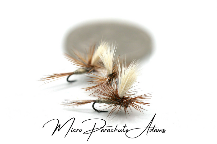 Adams Selection