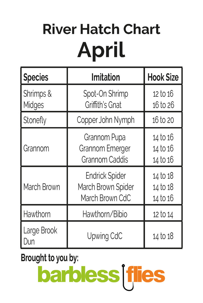 Annual Hatch Cards