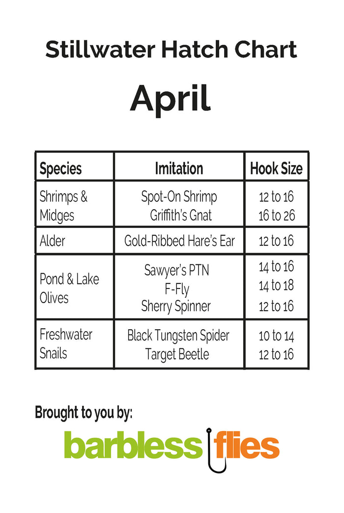 Annual Hatch Cards