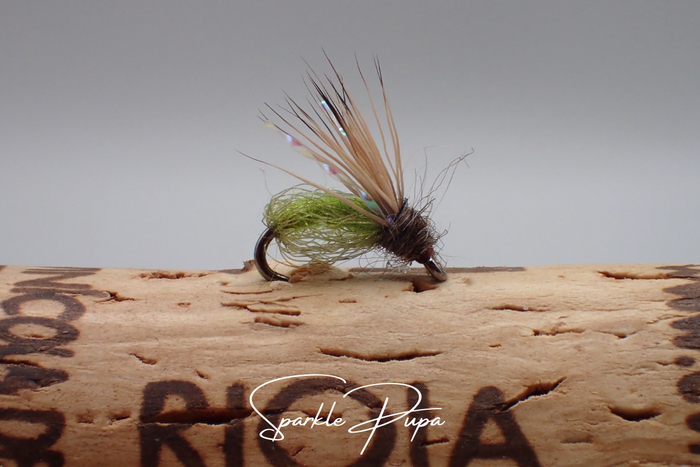 Artisan 'Indian Summer' Selection