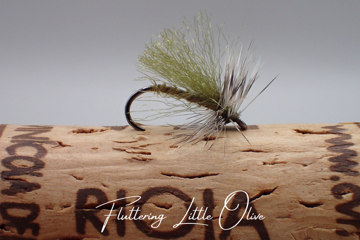 Artisan 'Indian Summer' Selection