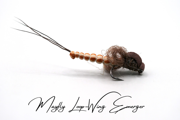 Artisan Mayfly Taster Selection