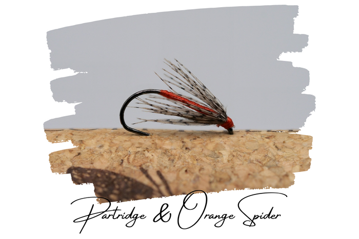 Artisan Spider Selection