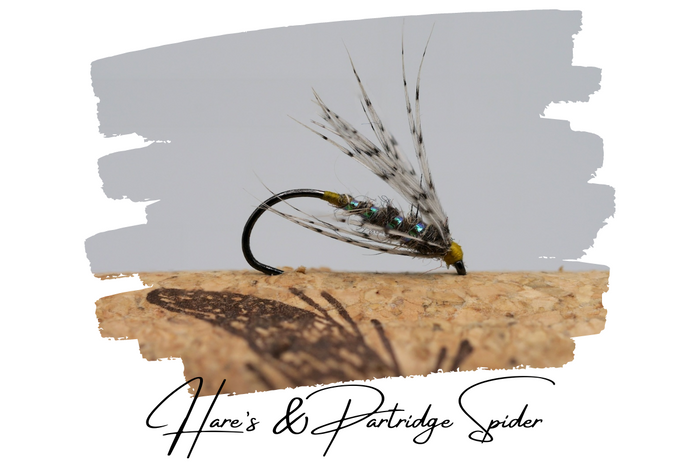 Artisan Spider Selection