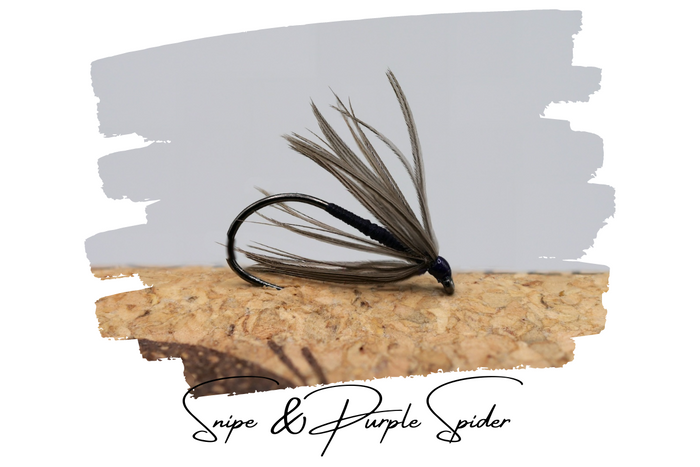 Artisan Spider Selection