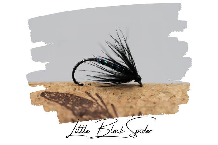 Artisan Spider Selection