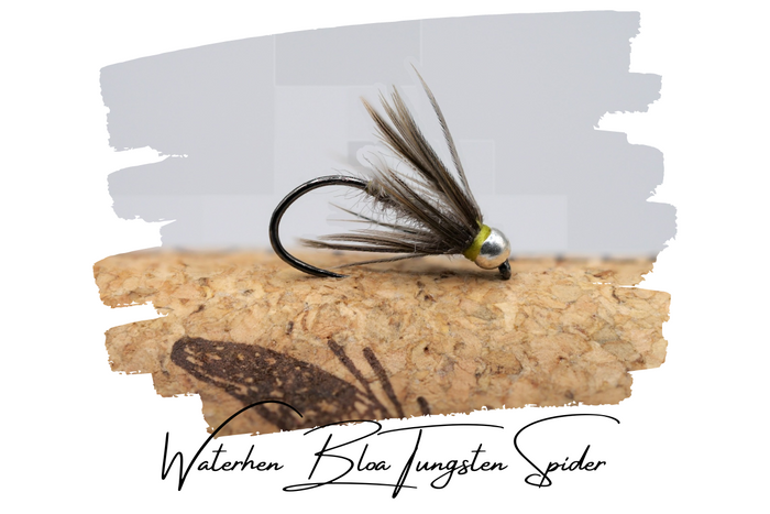 Artisan Tungsten Spider Selection
