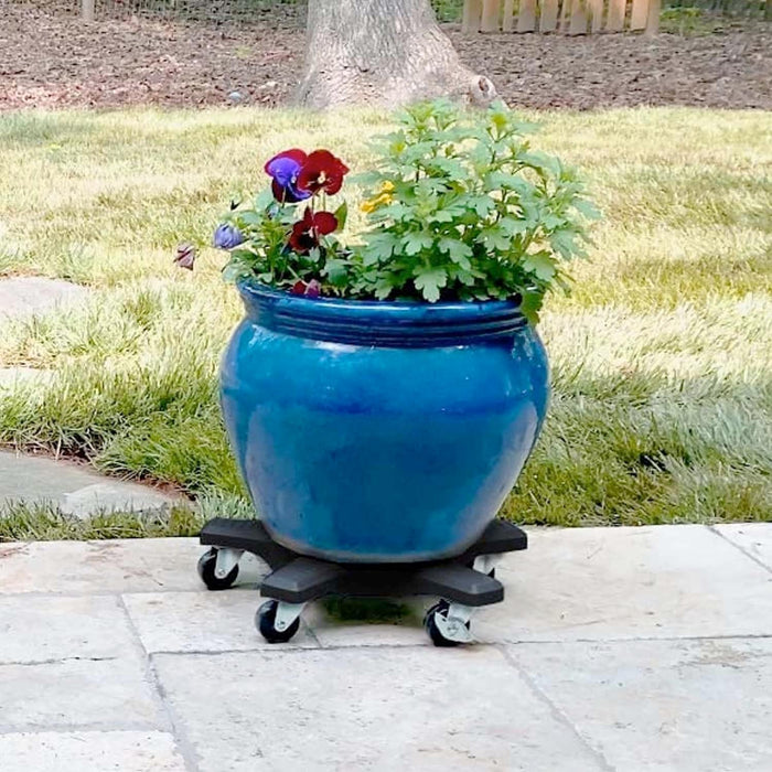Black Plant Caddie - 20" - Roger's Gardens
