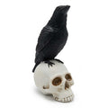 Black Raven on Skull - 9" Tall from the 2026 Moonlight Masquerade Halloween collection at Roger's Gardens