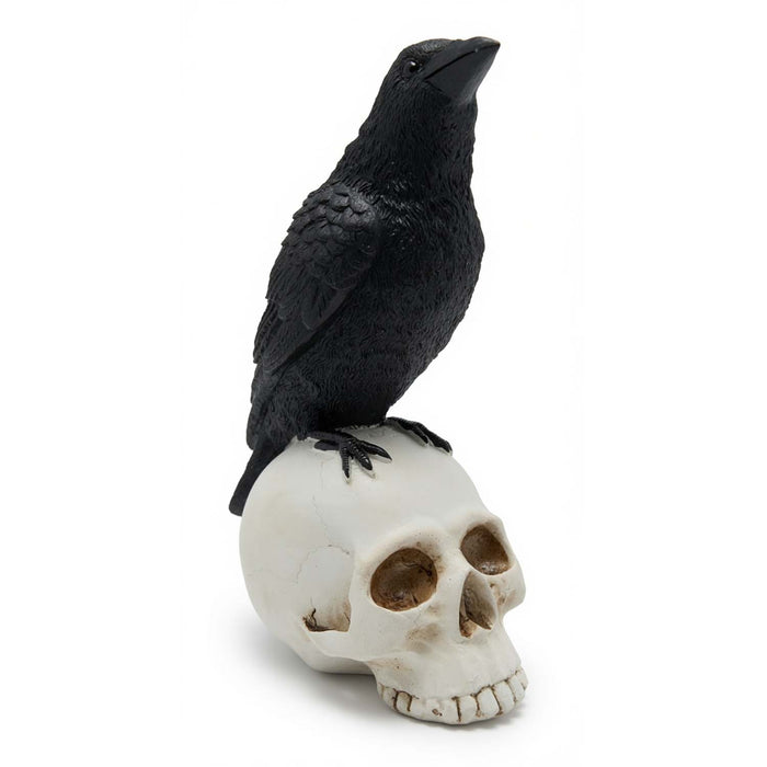 Black Raven on Skull - 9" Tall from the 2026 Moonlight Masquerade Halloween collection at Roger's Gardens