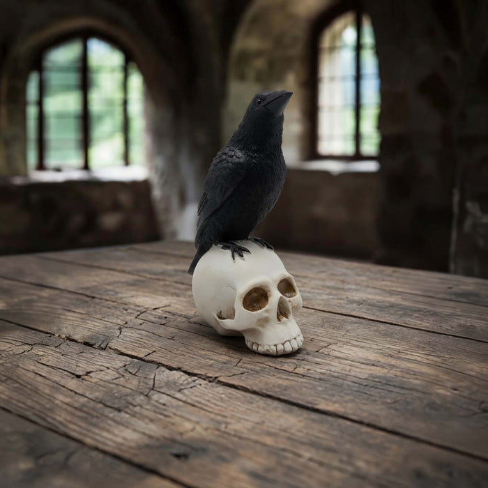 Black Raven on Skull - 9" Tall