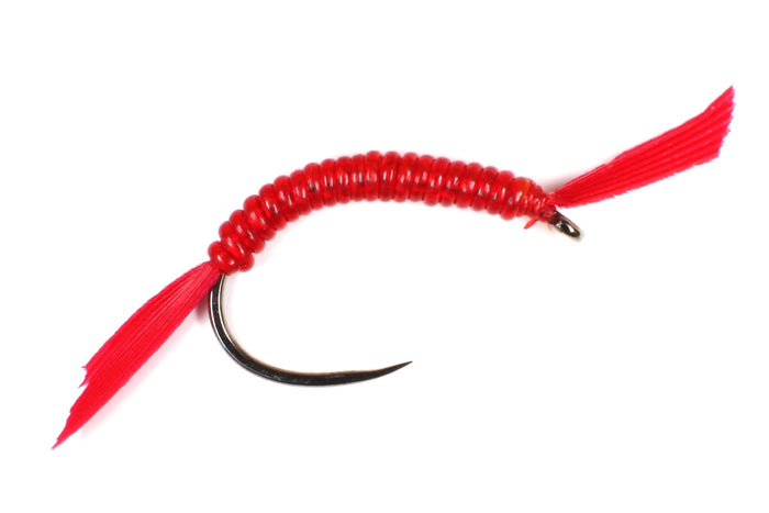 Bloodworm Selection