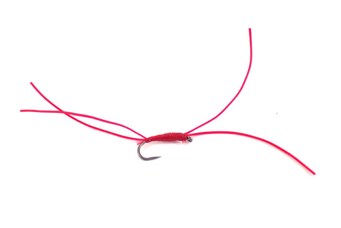 Bloodworm Selection
