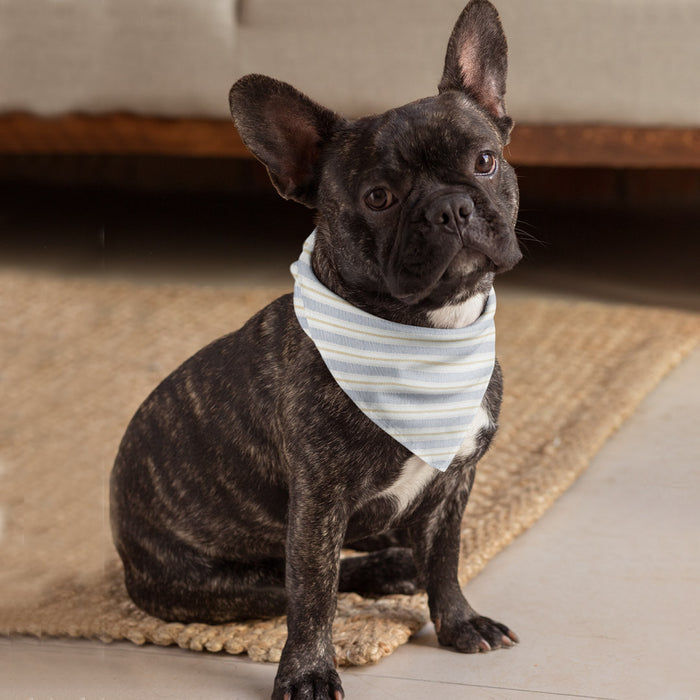 French Bulldog wearing a blue-striped dog bandana, sitting on a woven rug by a couch.