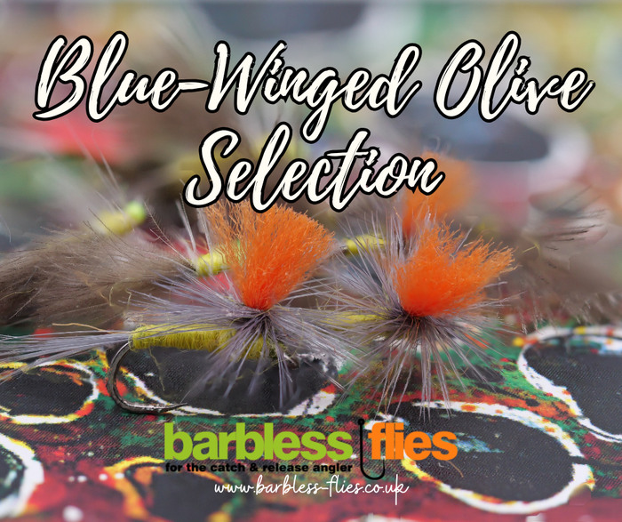 Blue-Winged Olive Selection