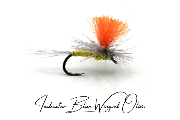 Blue-Winged Olive Selection