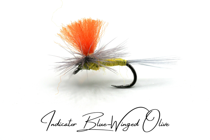 Blue-Winged Olive Selection