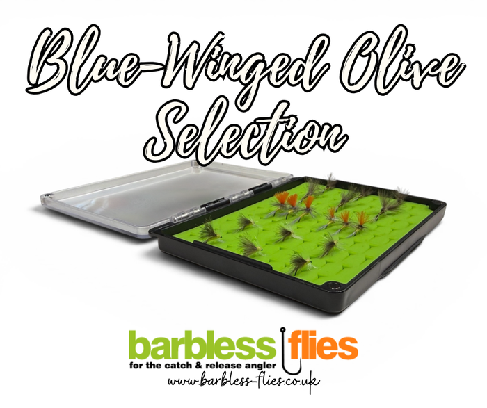 Blue-Winged Olive Selection