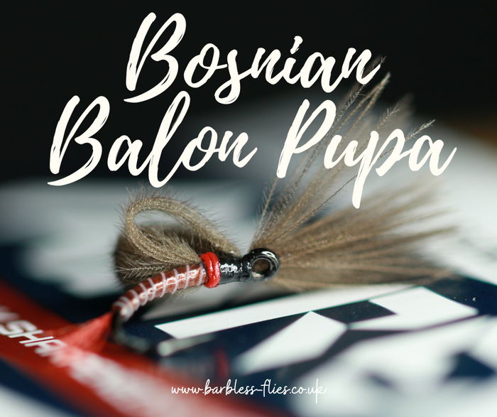 Bosnian Balon Pupa Selection