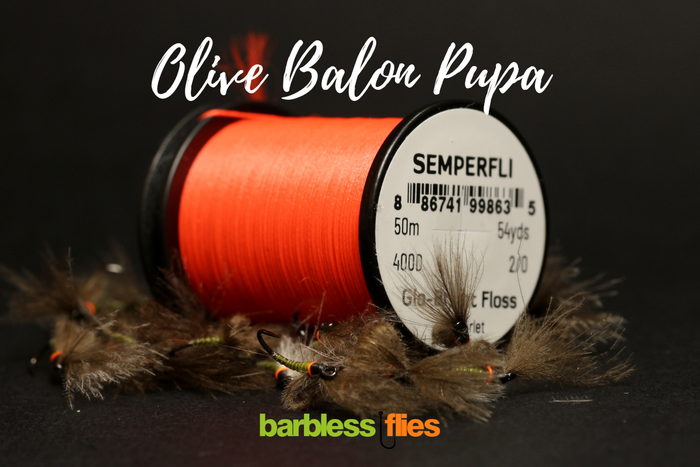 Bosnian Balon Pupa Selection