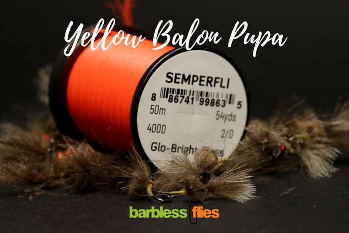 Bosnian Balon Pupa Selection