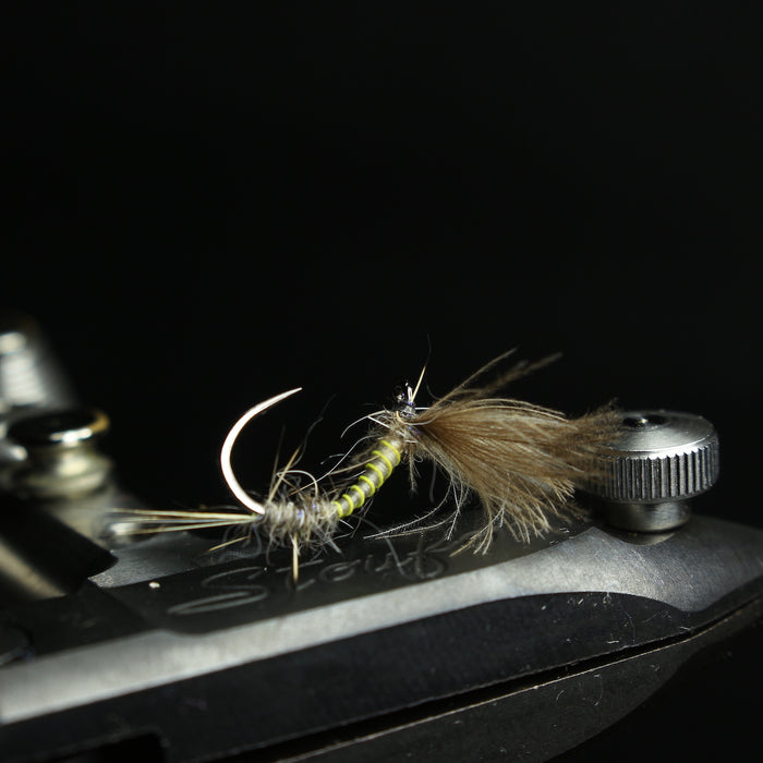 Bosnian CdC Olives