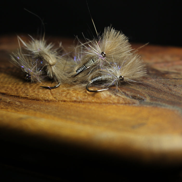 Bosnian CdC Olives