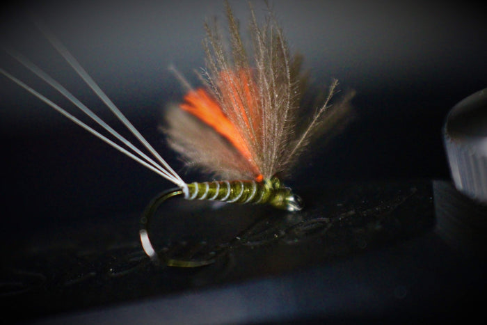 Bosnian Early/Late Season Dry Fly Selection