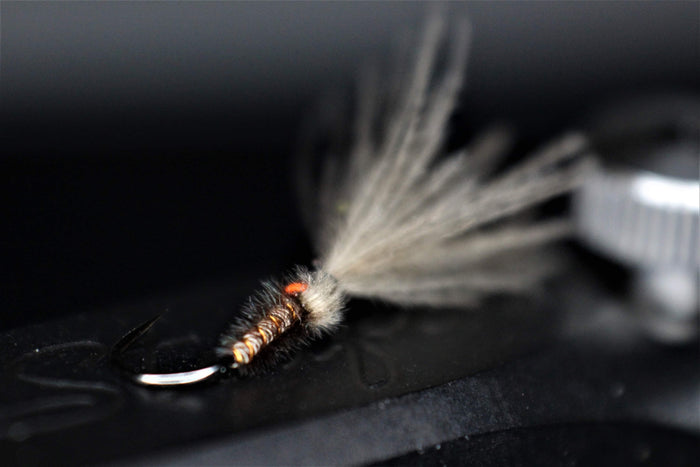 Bosnian Early/Late Season Dry Fly Selection