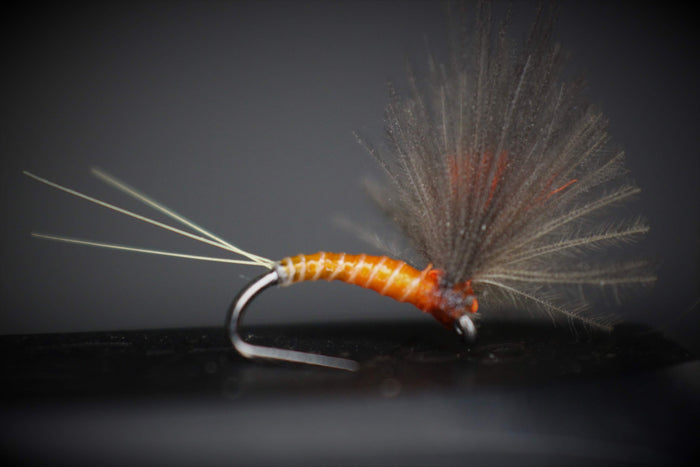 Bosnian Early/Late Season Dry Fly Selection