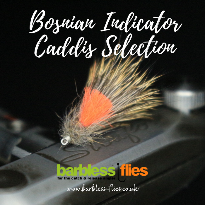 Bosnian Indicator Caddis Selection