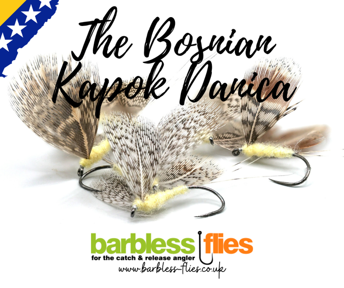 Bosnian Kapok Danica