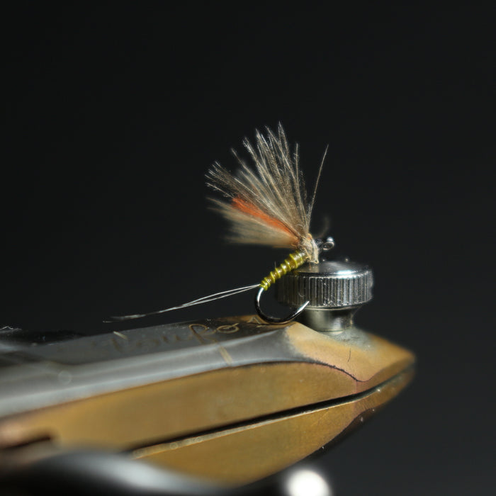 Bosnian Late-Season Dry Fly Selection