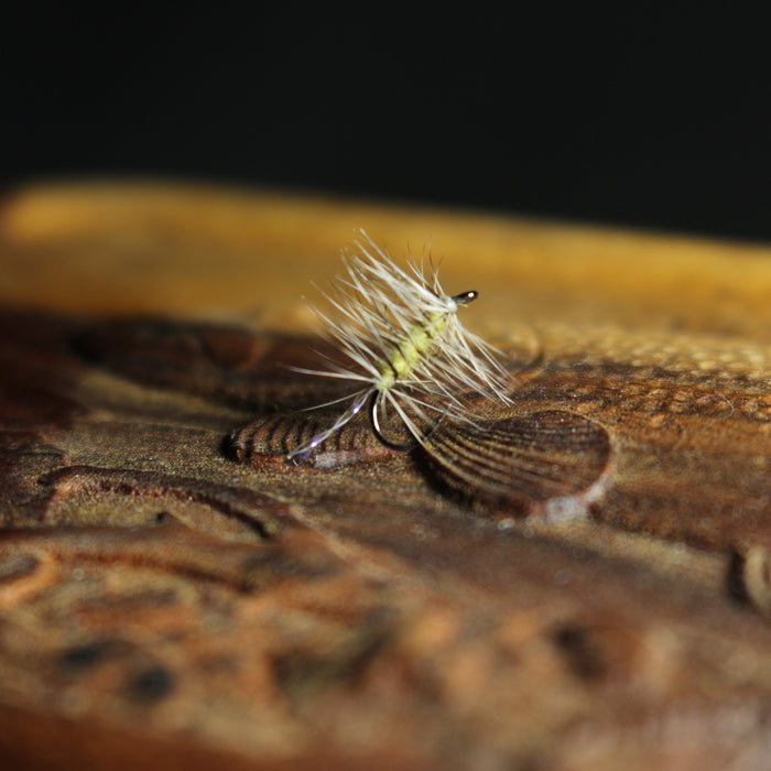 Bosnian Late-Season Dry Fly Selection