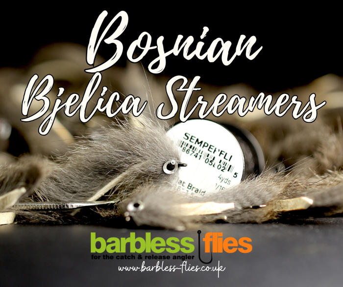 Bosnian Pine Squirrel Zonker (Bjelica) Selection