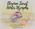 Bosnian Secret Autumn & Winter Nymphs