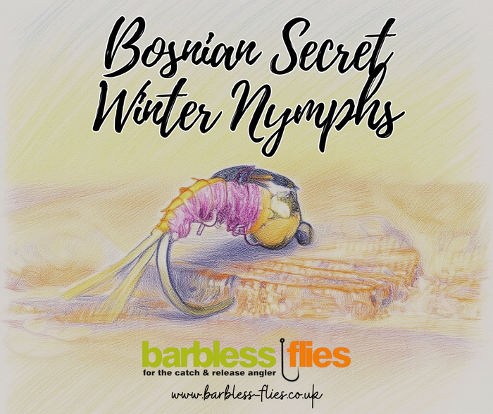 Bosnian Secret Autumn & Winter Nymphs