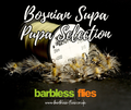Bosnian SupaPupa Selection