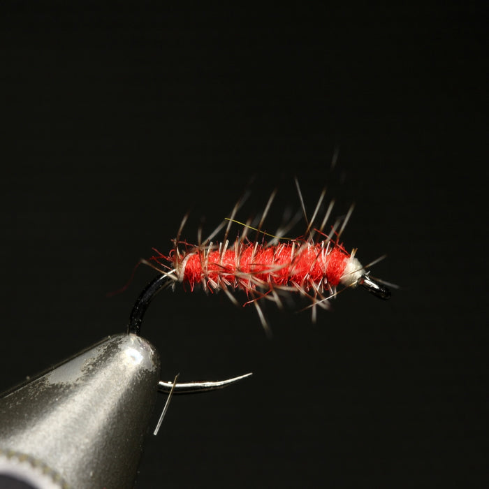 Bosnian SupaPupa Selection