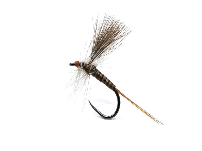 Catskill Quill Gordon (CdC)