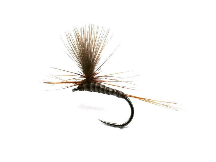 Catskill Quill Upright