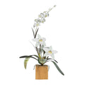 Cattleya White Metal Orchid