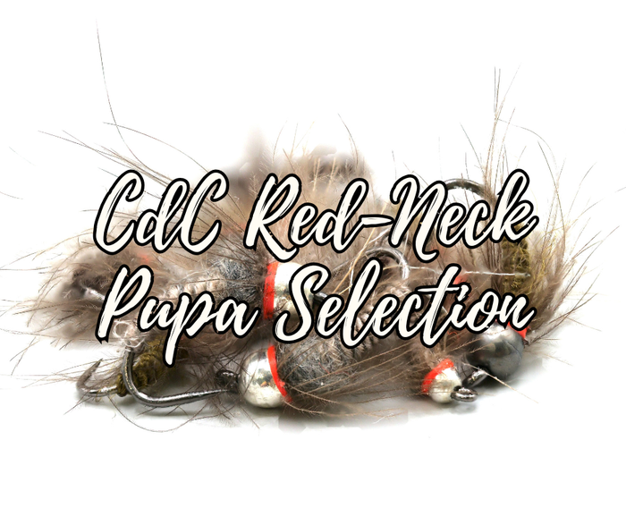 CdC Red-Neck Tungsten Pupa Selection