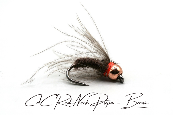 CdC Red-Neck Tungsten Pupa Selection
